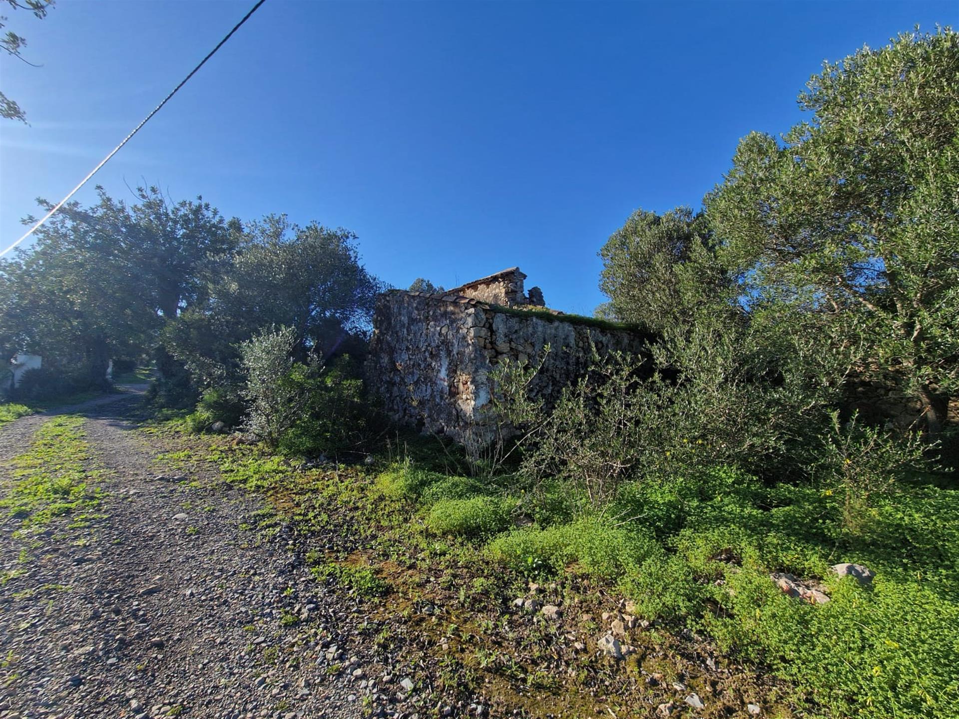 Plot Of Land Of 15.000,00 Sq.M. With A Project Approved For Development Of Two Independent Semi-Deta
