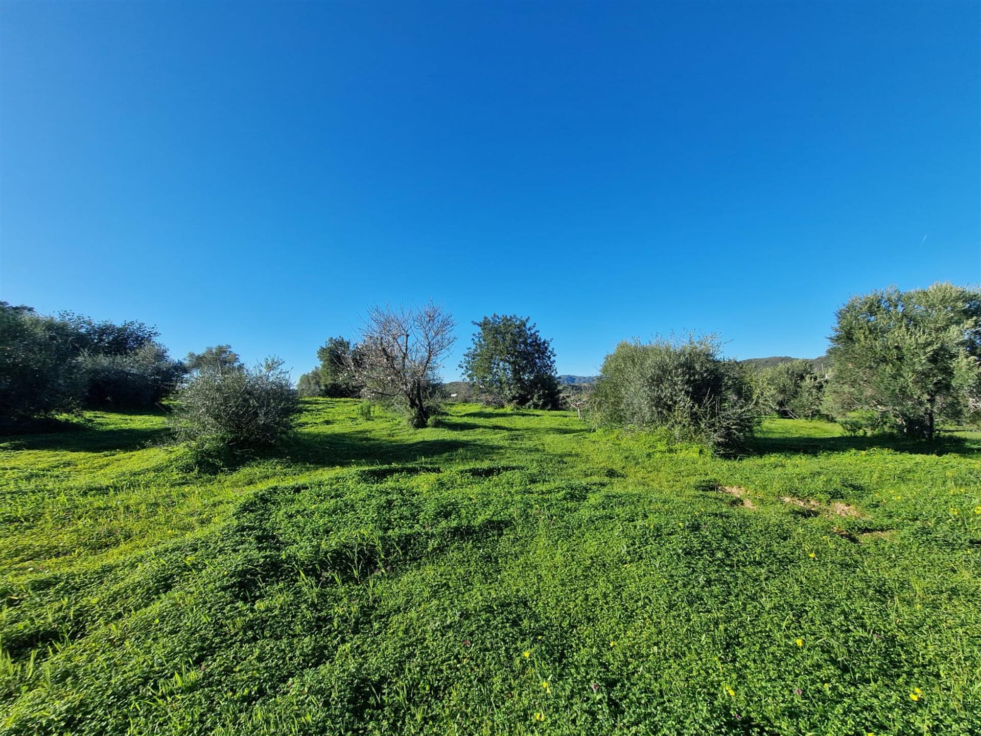 Plot Of Land Of 15.000,00 Sq.M. With A Project Approved For Development Of Two Independent Semi-Deta
