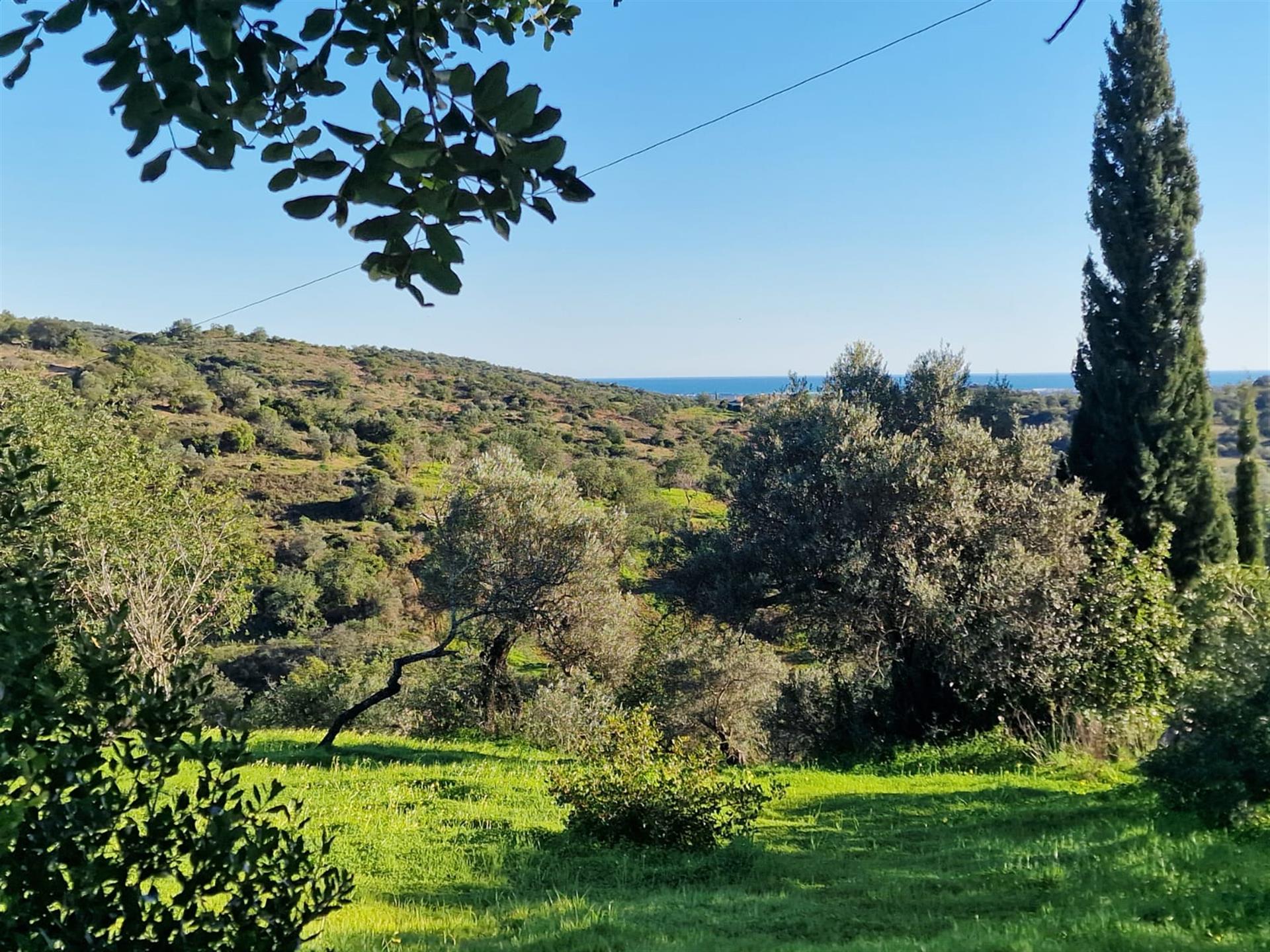 Plot Of Land Of 15.000,00 Sq.M. With A Project Approved For Development Of Two Independent Semi-Deta