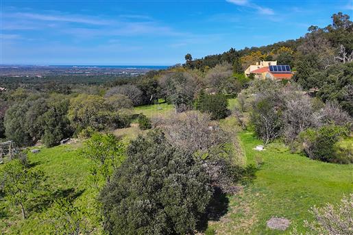 Atypical farmhouse nestled in the foothills of the Albères