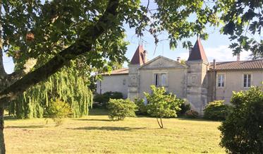 Chateau og vingård til salg
