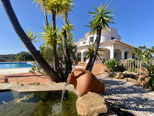 Amazing villa wih swimming pool