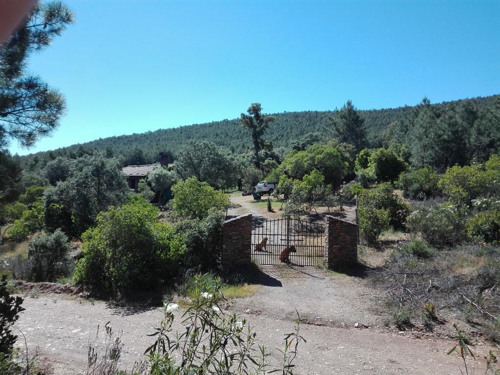 Exceptional - 2.5-hectare estate within the Monfragüe National Park in Extremadura, Spain’s far west