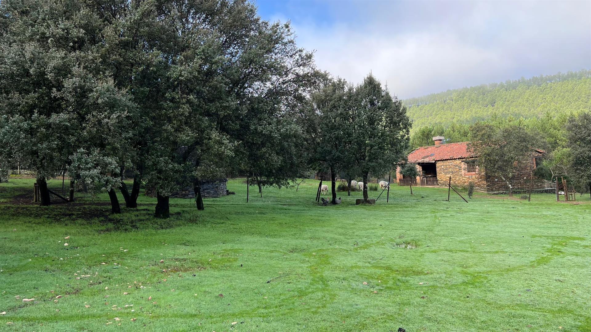 Exceptional - 2.5-hectare estate within the Monfragüe National Park in Extremadura, Spain’s far west