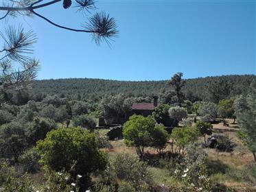 Uitzonderlijk - landgoed van 2,5 hectare in het Nationaal Park Monfragüe in Extremadura, het uiters