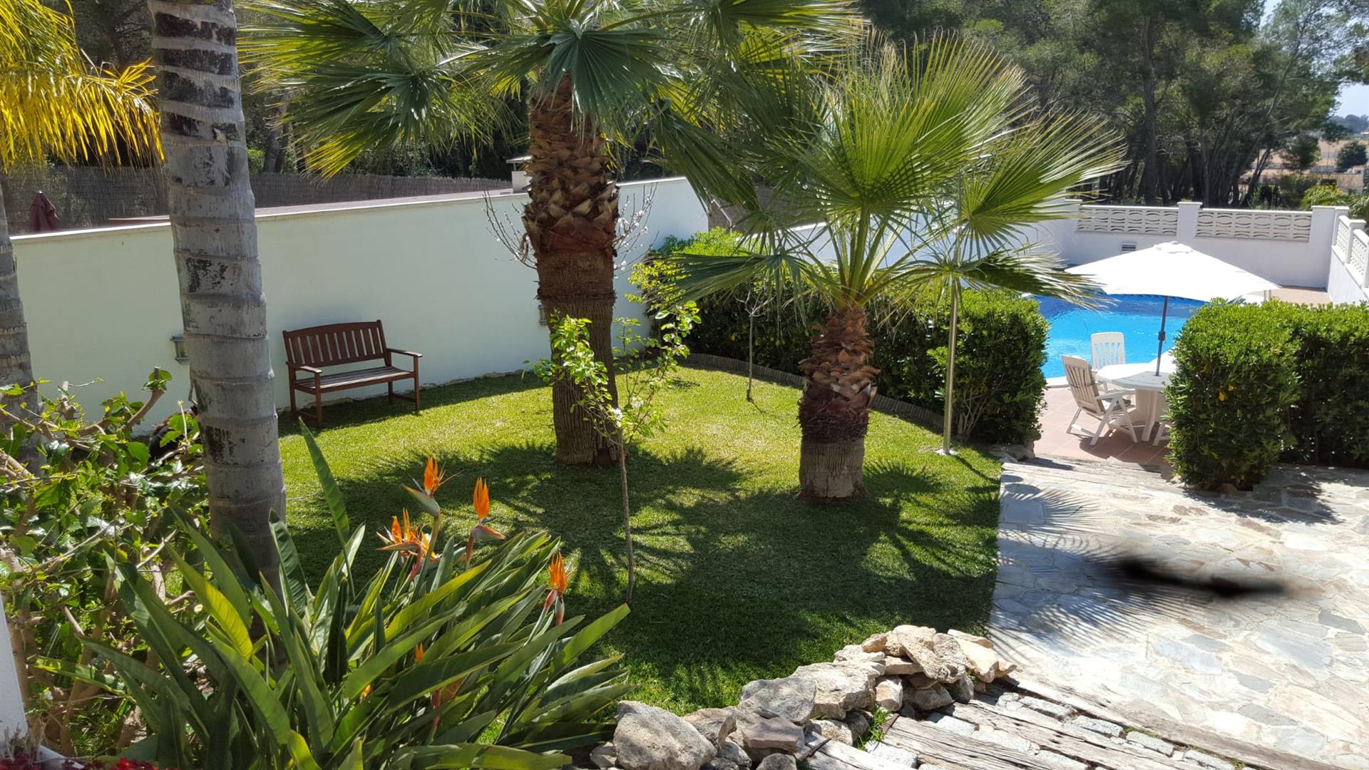 House tourist license with pool and garden| Costa Dorada