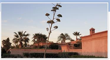 Investering Villa av sjarm - Marrakech