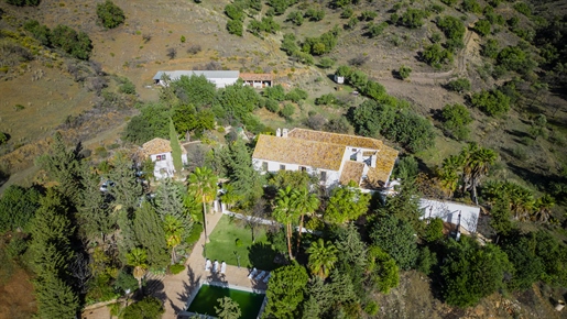 Cortijo típico de Andalucía en una finca de 60 hectáreas