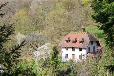 Fantastisk eiendom Toggenbach Alsace (F)