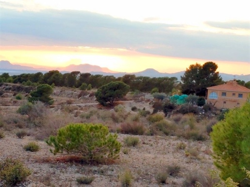 Additional image 3 of Busot (Alicante)