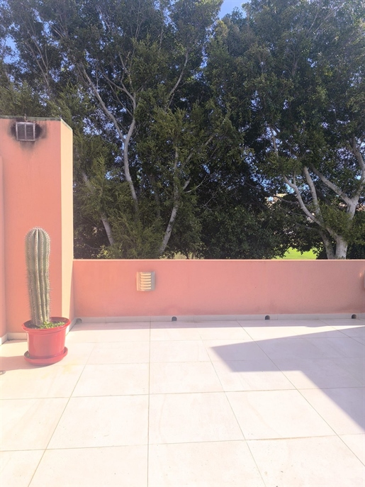 Additional image 7 of Alicante