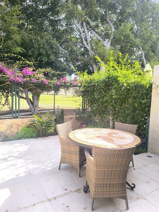 Additional image 13 of Alicante