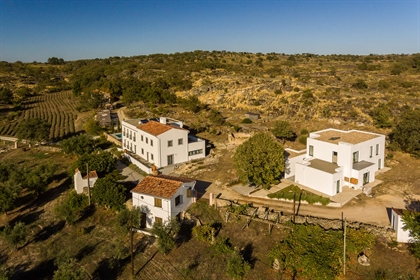 Propriedade única na produção de lavanda em Portugal, localizada em Castelo de Vide, Alentejo.