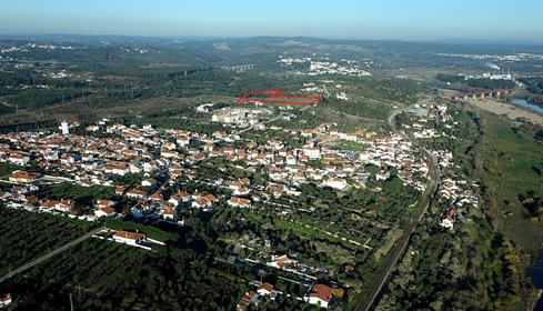 Fazenda com projeto aprovado para urbanização, localizada na Praia do Ribatejo, região de Constância