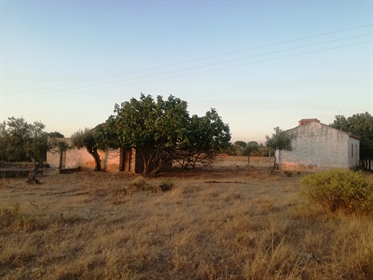 Farm with project approved for urbanization, located at Praia do Ribatejo, Constância area