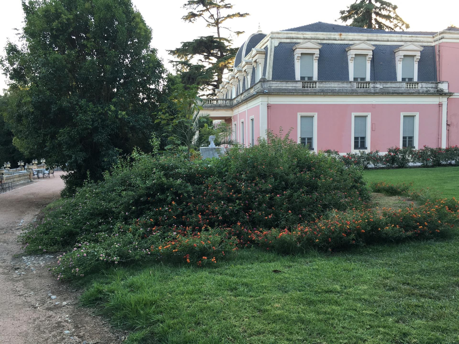 Palácio com Jardim Botânico / Palace with a Botanic Garden