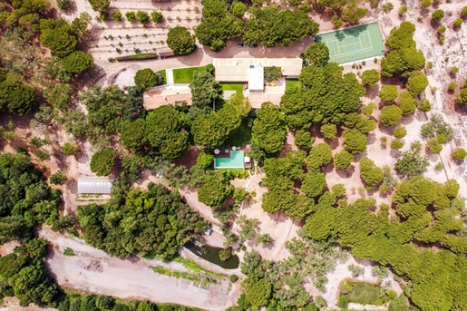 Grandola Estate | 20ha | Pool | Vinyard | 2 Villas | River Access | 1h from Lisbon