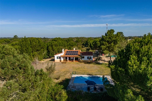 Tranquil Villa | 3 bedrooms | Private Pool | 40 min from Lisbon