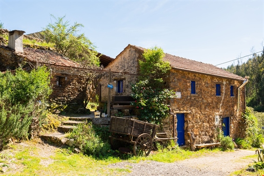 Pequena cama e pequeno-almoço em 2 hectares de propriedade - antiga aldeia em Figueiro dos Vinhos