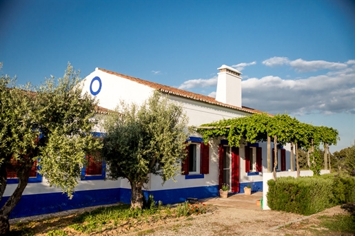 Elégante maison de campagne dans l’Alentejo sur deux hectares de propriété de luxe