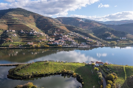 Quinta da Capela, uma propriedade produtora de vinho de 16 hectares junto ao rio Douro