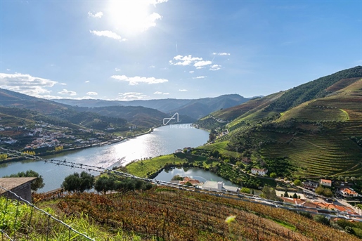 Quinta da Capela, un domaine viticole de 16 hectares au bord du fleuve Douro