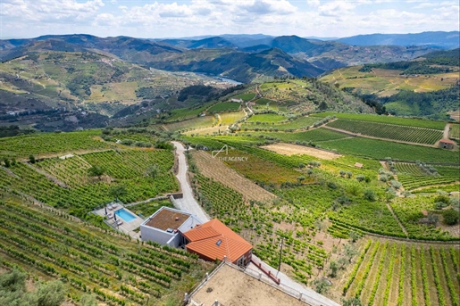 Tourist farmhouse with 3 suites, swimming pool, vineyard and stunning views over the Douro River