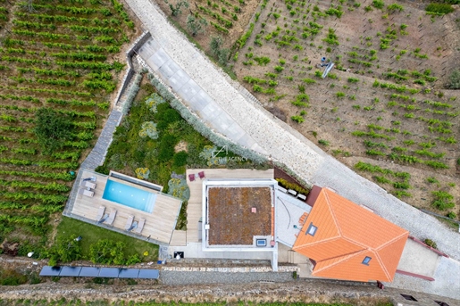 Tourist farmhouse with 3 suites, swimming pool, vineyard and stunning views over the Douro River
