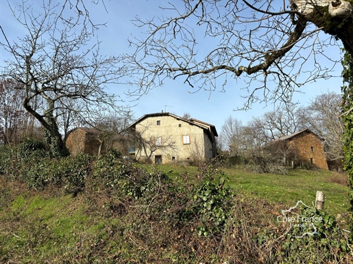 Boerderij met bijgebouwen op het platteland Boisset 15600 Cantal / Auvergne