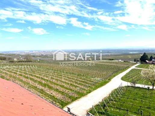 Purchase: Luxury property (68420)
