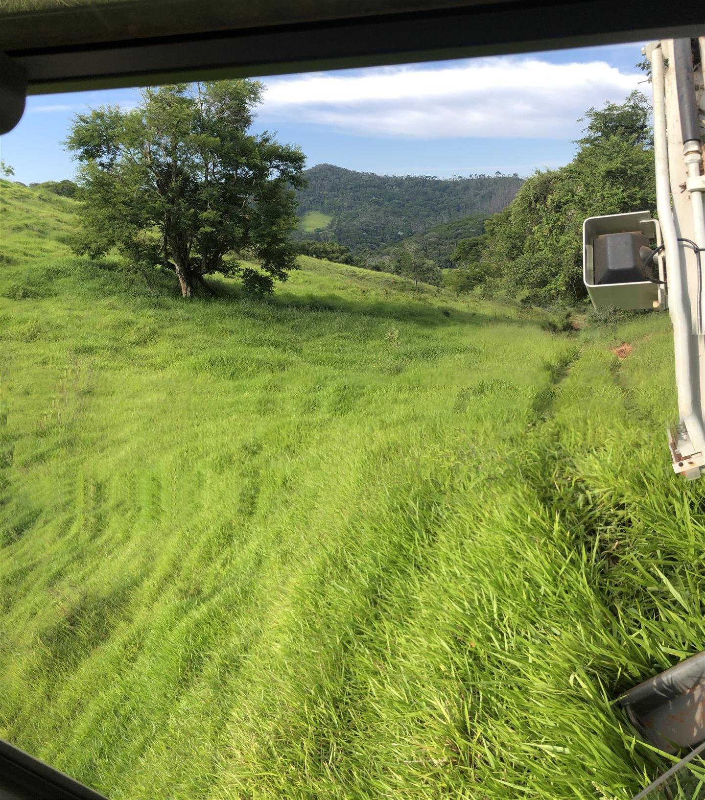 Minas Gerais Farm 164 ha