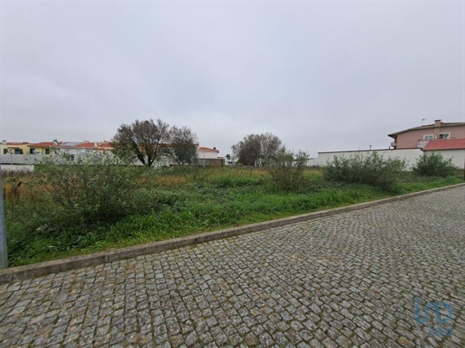 Ground in Vila nova da telha with 264,00 m²