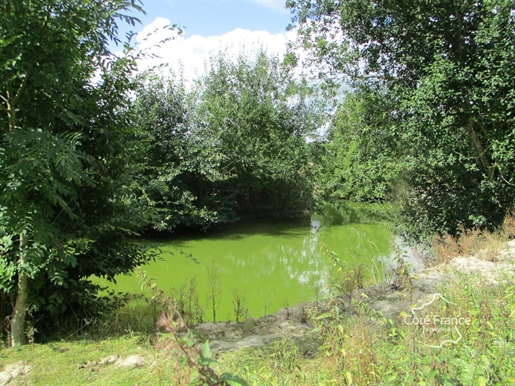 Aisne Hirson Belle demeure sur un terrain de 38.496m2 avec étang