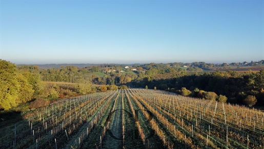 Bergerac Wine Property