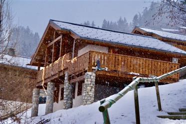 Chalet Vallandry - 4 rooms - exceptional view