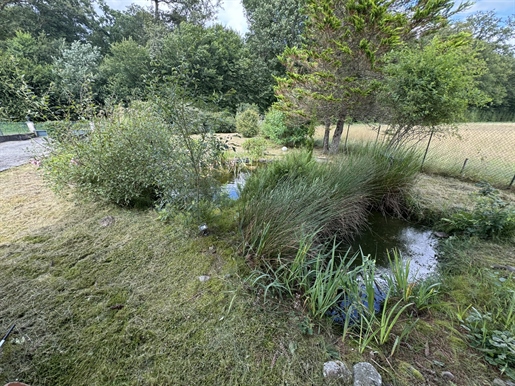 Authentique maison de campagne dans un écrin de verdure