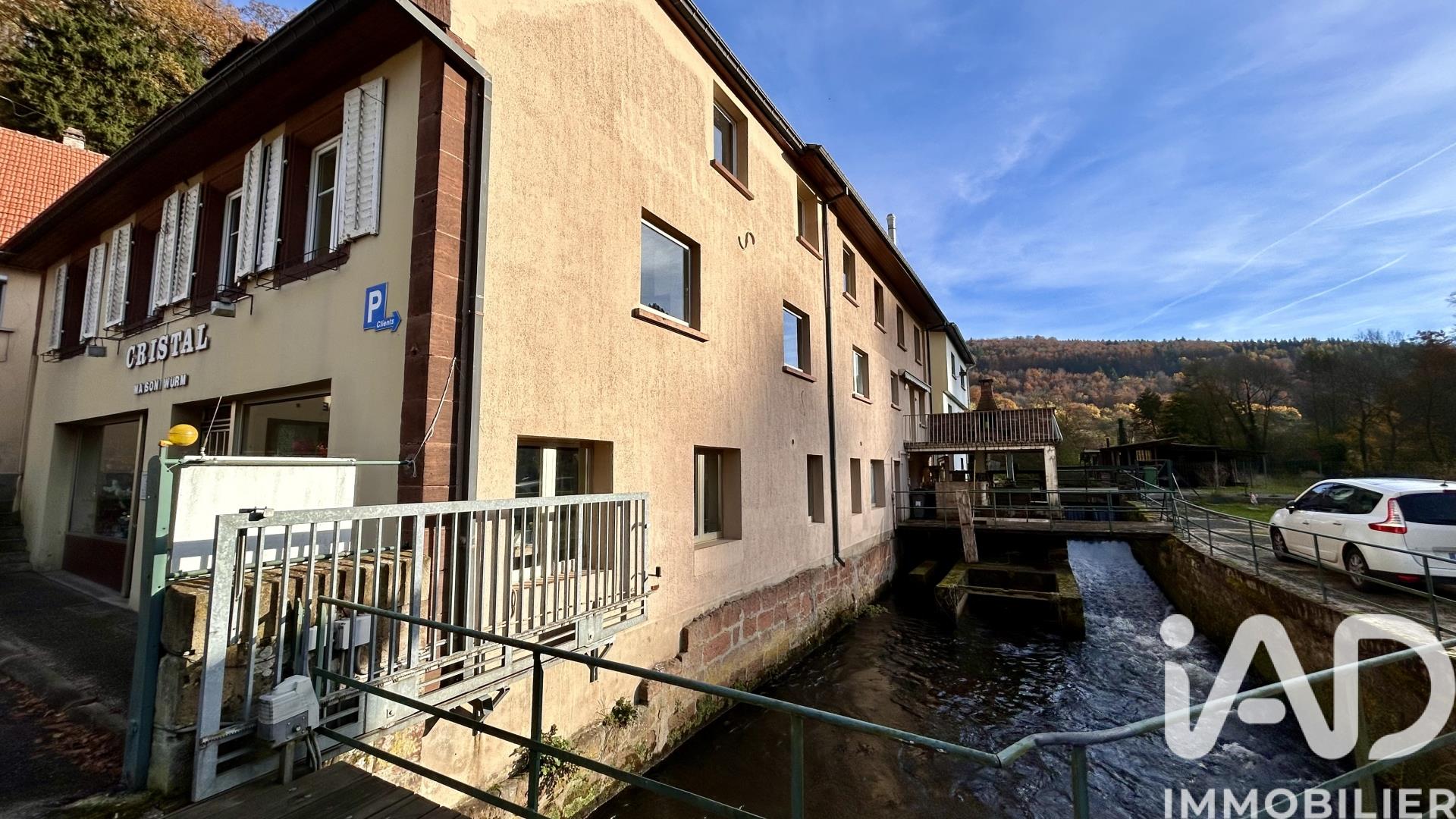 Maison à vendre, 500m², Lutzelbourg