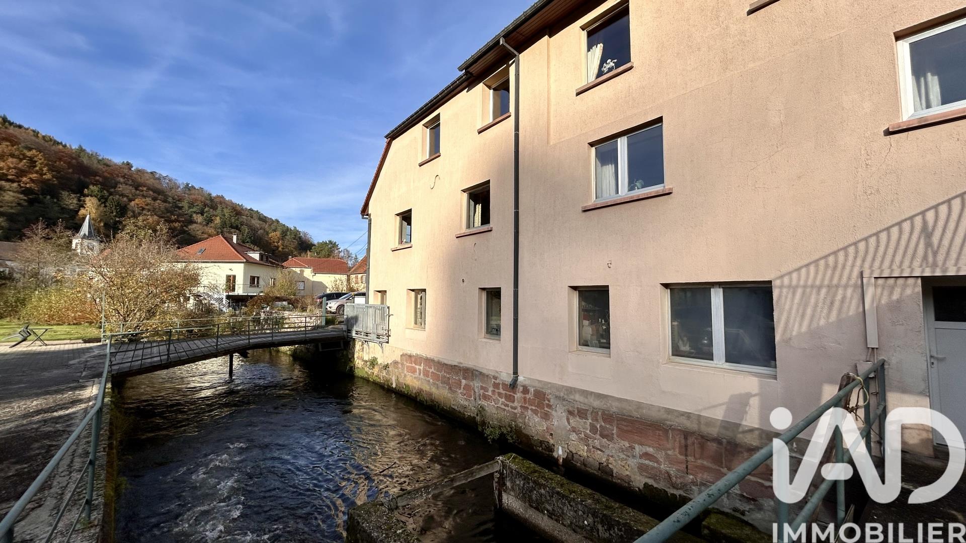 Maison à vendre, 500m², Lutzelbourg