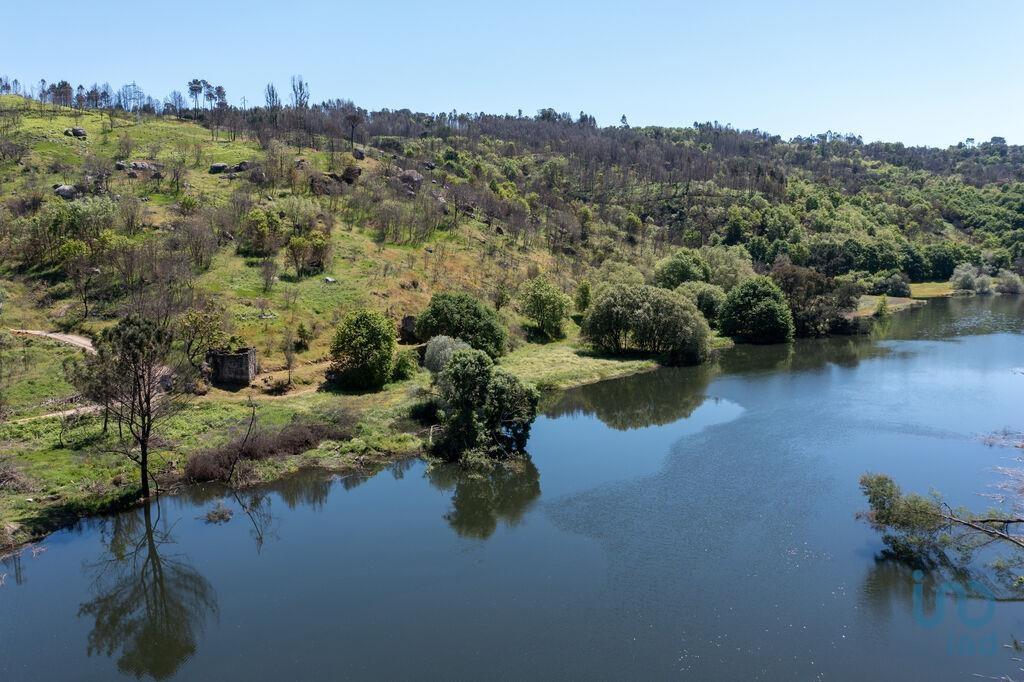 Tierra en el Coimbra, Tábua