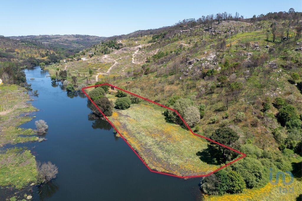 Tierra en el Coimbra, Tábua