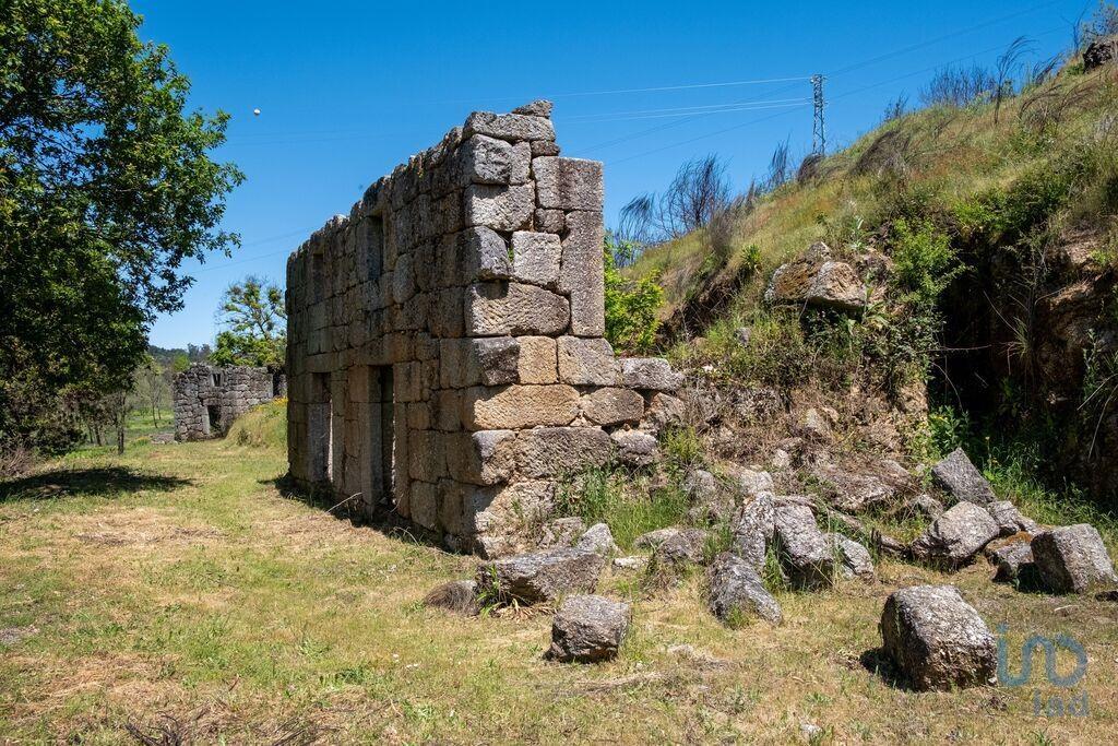Tierra en el Coimbra, Tábua