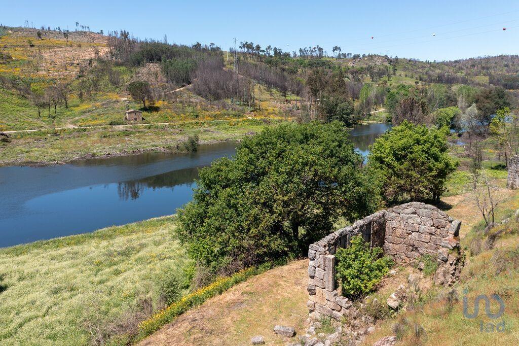 Tierra en el Coimbra, Tábua