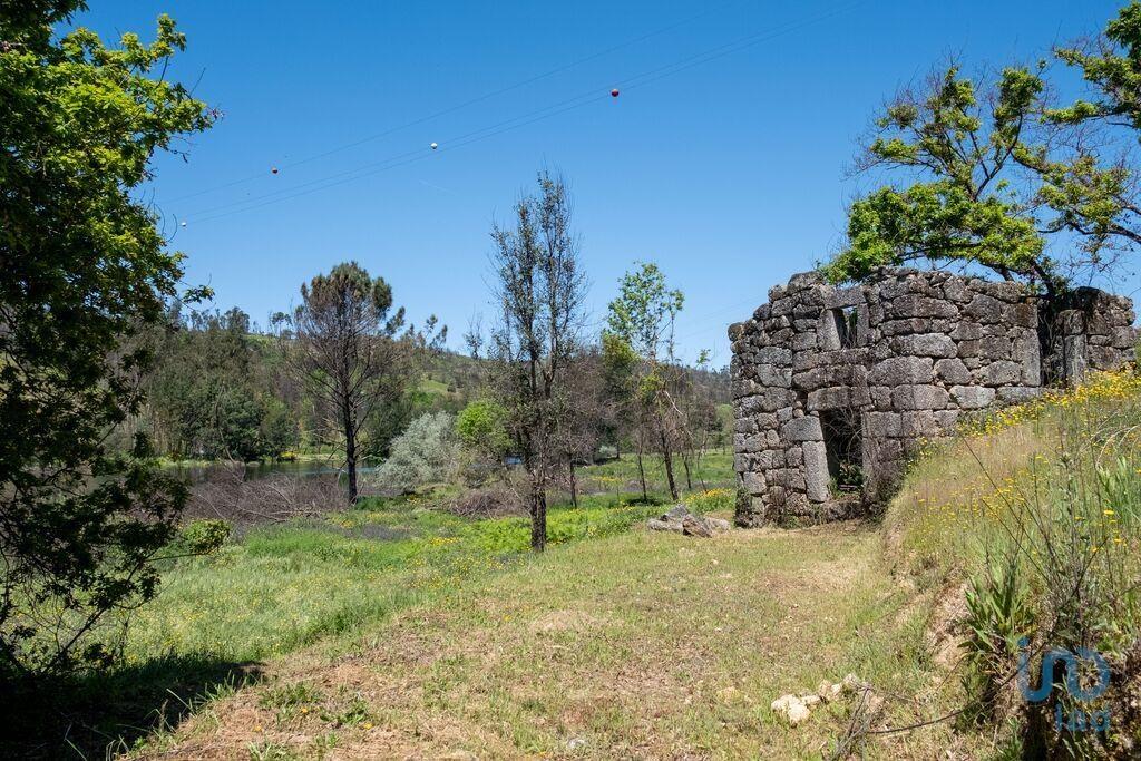 Tierra en el Coimbra, Tábua