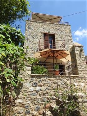 Красивый традиционный дом 4 каменных фасада Камни