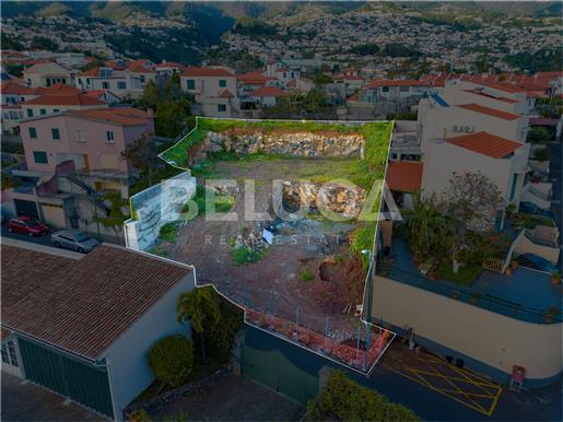 Terrain avec projet approuvé pour 4 villas | Achada (Funchal)