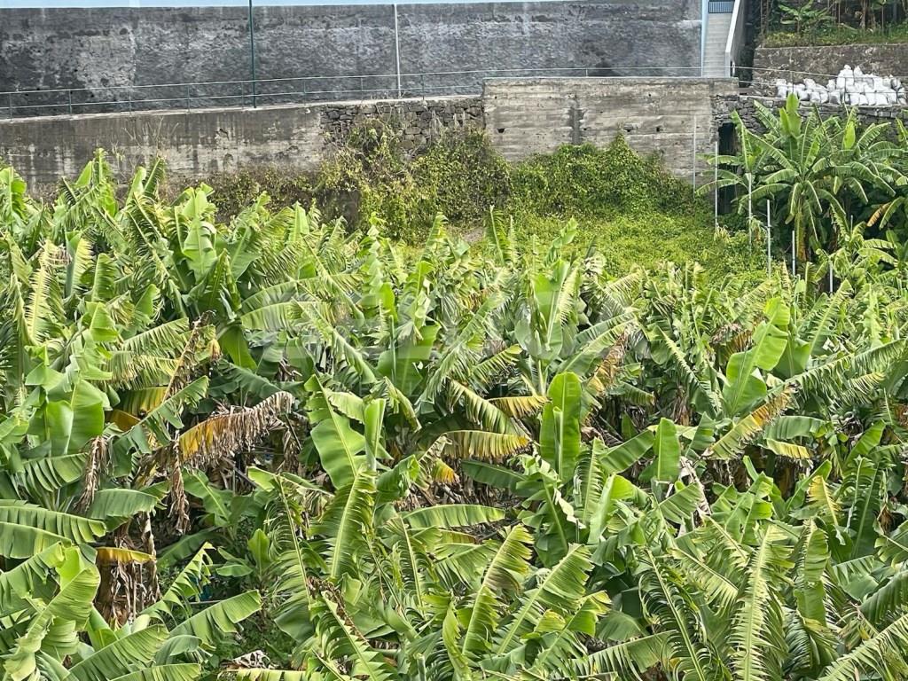Building Plot With 2110m² | Cam Do Terço - Câmara De Lobos