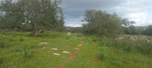 Terrain rural Vente dans Boliqueime,Loulé