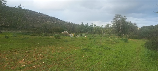 Terrain rural Vente dans Boliqueime,Loulé