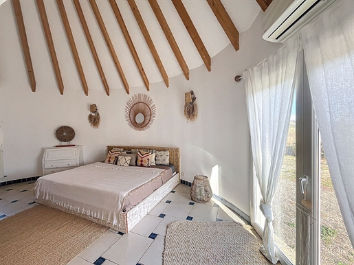 Exceptional at the gateway to the Camargue, authentic Gardian's Hut of 166m²