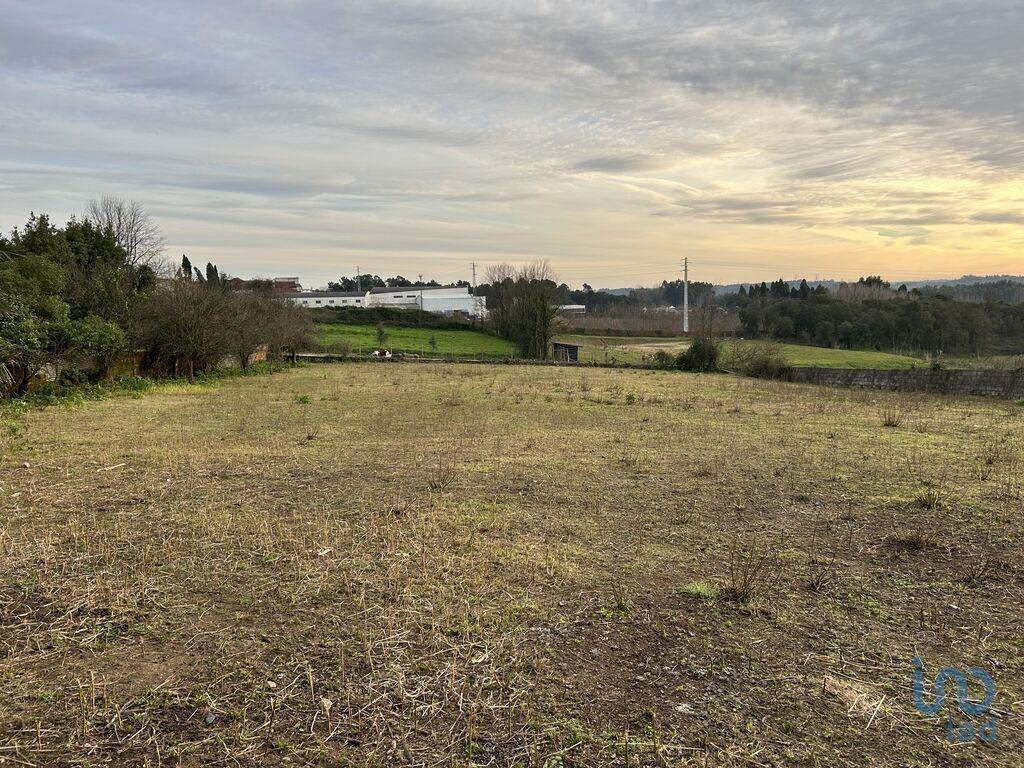 Aankoop: Terrein (3780)